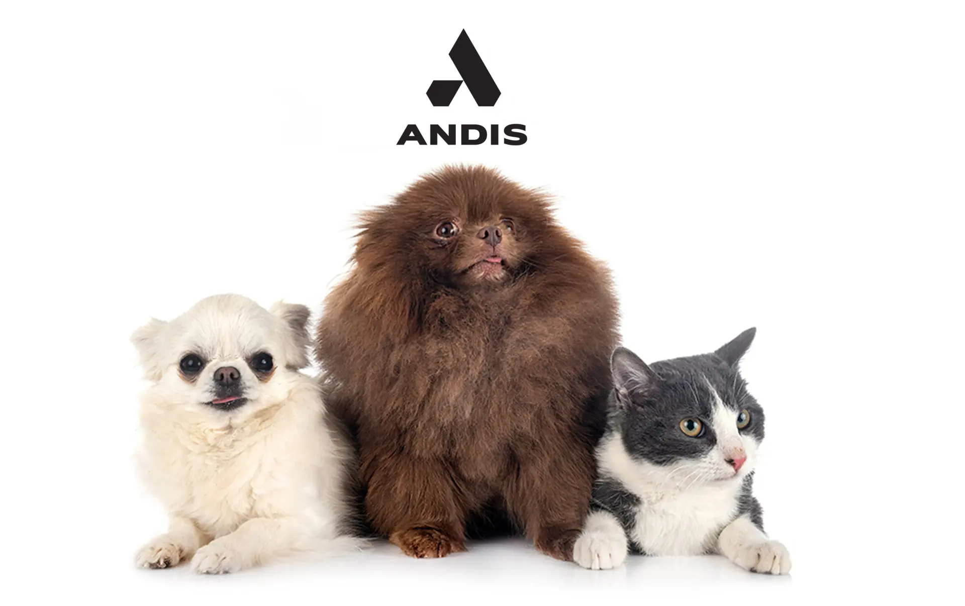 687773e41cc77_lika 6.jpg