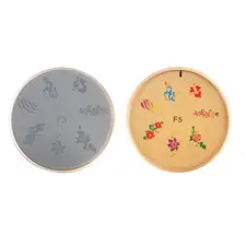 Šablon silikonski za Nail Art F5