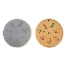 Šablon silikonski za Nail Art F4