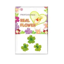 Ukrasno cveće Nail Art - Flower90