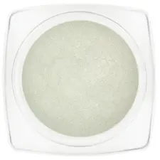 Pigment za nokte u prahu Mirror chrome ASN-GP 1g - ASNGP21-2