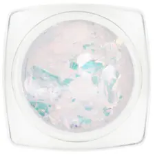 Nail Decorations GP106-14 Aurora Platinum 0.2g