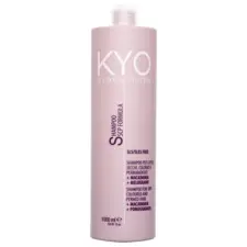 Šampon za suvu kosu - Hydra System - 1000 ml