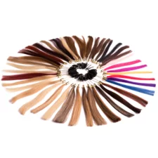 Paleta nijansi boja za nadogradnju VIDAHAIR