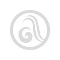 Kristali za nokte SWAROVSKI A 2088 XIRIUS Rose SS12 Jet 20/1