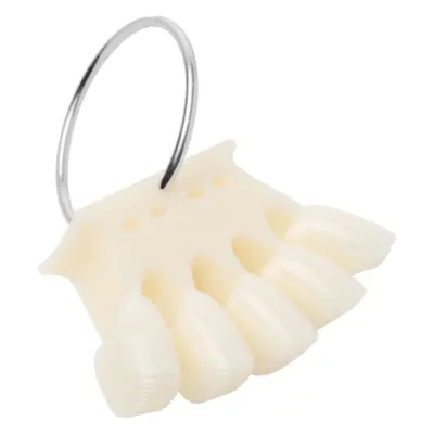 Rozetna za lakove za nokte - Crown - Natur