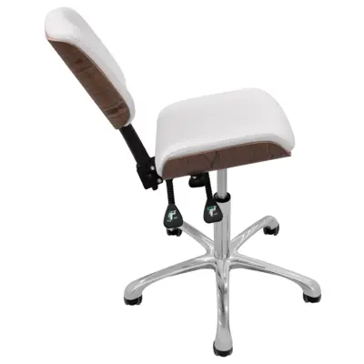 Pomoćna stolica 1071 - Gravel Wood