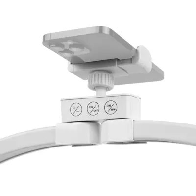 LED stona lampa - Crescent Moon