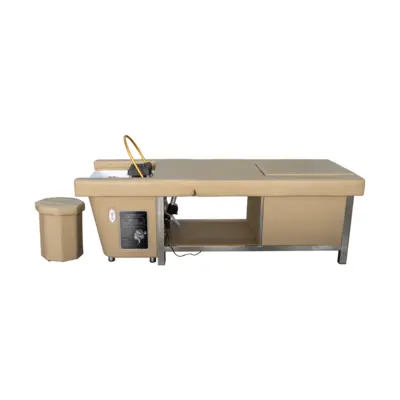 Head spa elektropodesiva šamponjera WL U470