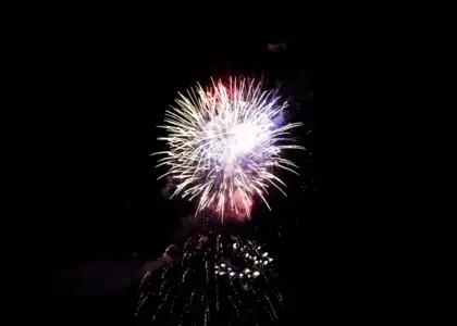 EXIT 2019 – Alexandar Cosmetics Beauty partner