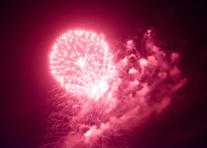 EXIT 2019 – Alexandar Cosmetics Beauty partner